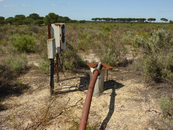 Agua Doñana 02