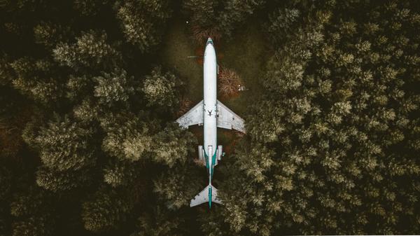 Rewilding plane