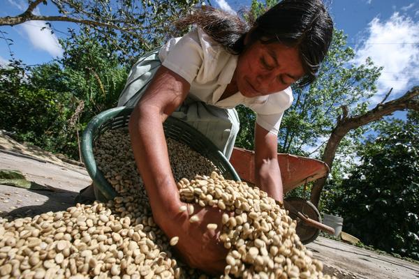 portada informe coordinadora estatal comercio justo