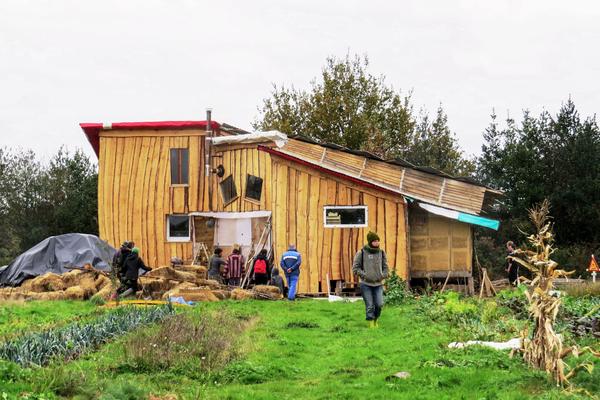 Zad en Notre Dame