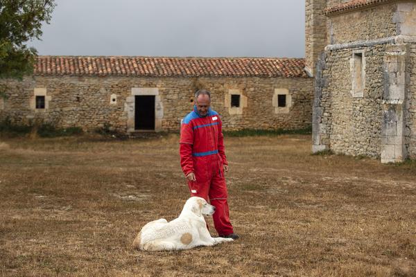 pastores de lobos 3