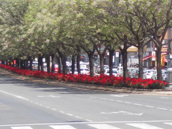 Nervión Verde 3