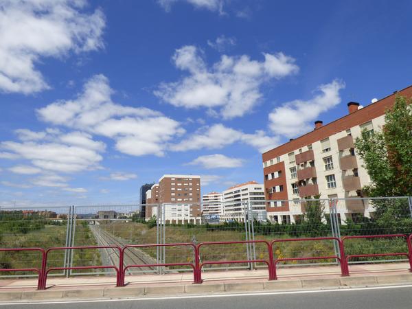 tren los lirios