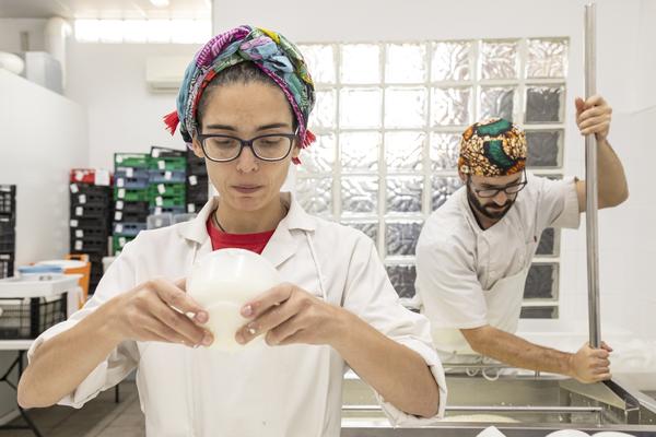 Elaboración de queso artesanal