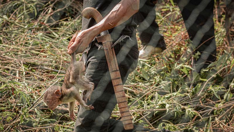 Image from article
