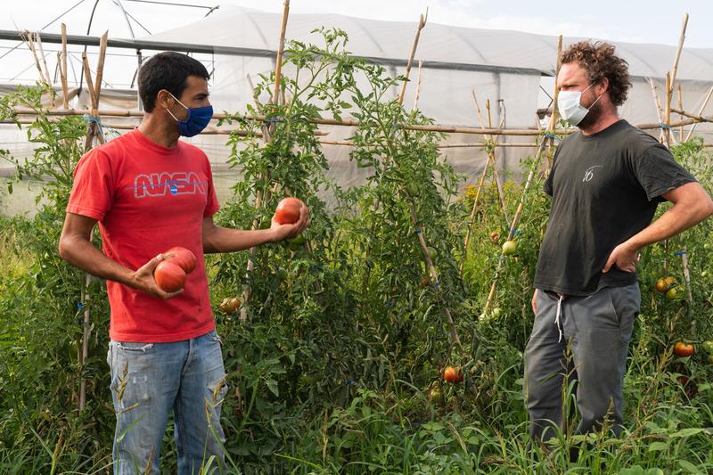 L’Hort de l’Eriçó es uno de los proyectos que forman parte de AlterBanc. David Aguinaga  L’Hort de l’Eriçó es uno de los proyectos que forman parte de AlterBanc. David Aguinaga