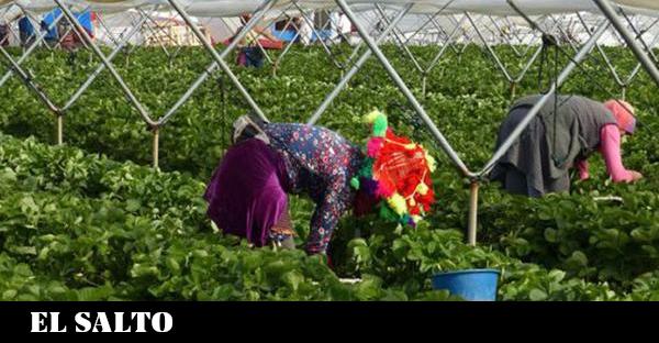 8M, una fecha también para cuestionar el modelo de consumo