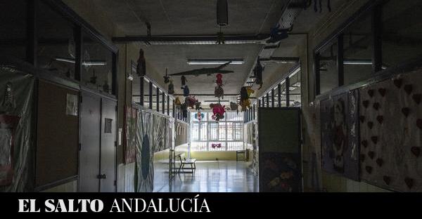 Las familias andaluzas se movilizan por la falta de atención al alumnado con necesidades específicas