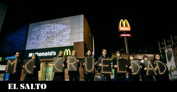 Maltrato animal | La 'McCrueldad' que McDonald's no muestra en sus anuncios - El Salto - Madrid Maltrato animal | La 'McCrueldad' que McDonald's no muestra en sus anuncios - El Salto - Madrid