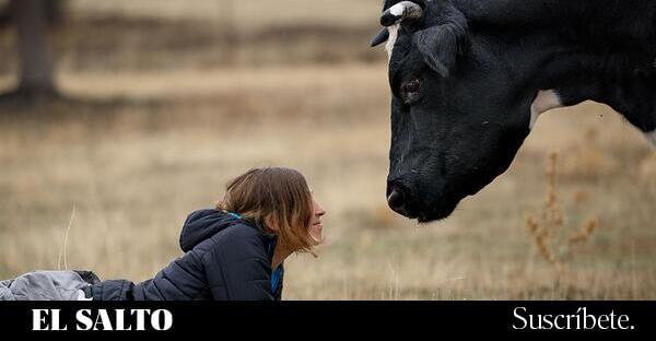 200 animales rescatados de la industria alimentaria permanecen atrapados en la zona del incendio de Madrid