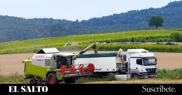 El mercado de fertilizantes tampoco ve el fin de la guerra: el precio se dispara un 13%