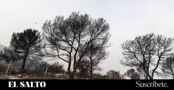 Bomberos y Bomberas Forestales del País Valencià denuncian que trabajan con la mitad de efectivos