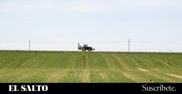 Desde el estrecho de Ormuz al supermercado: el precio de los fertilizantes ahoga a agricultores y familias