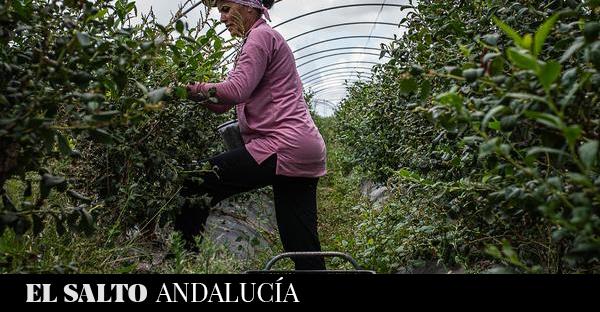 Jornaleras de Huelva en Lucha interpone la primera denuncia por el despido de una temporera marroquí