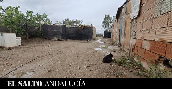 APDHA exige a la Unión Europea que se acabe con la explotación en los asentamientos de Huelva y Almería